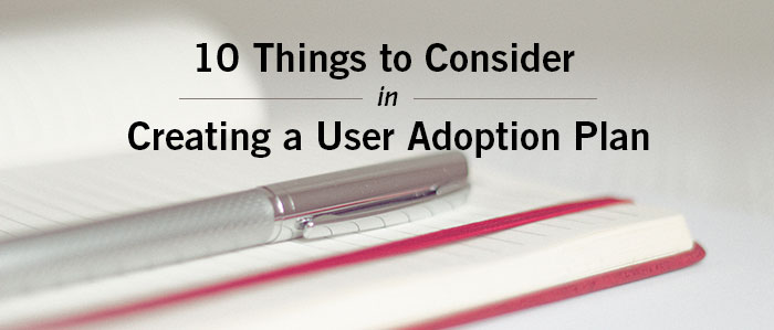 10 Things to Consider in Creating a User Adoption Plan