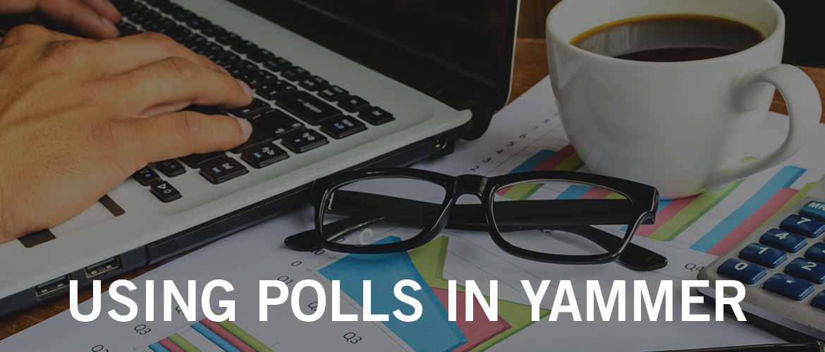 Using Polls in Yammer