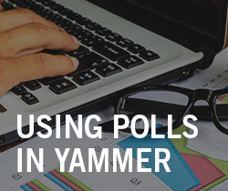 Using Polls in Yammer